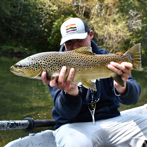 SOUTH HOLSTON RIVER FLY SHOP - Updated April 2024 - 608 Emmett Rd