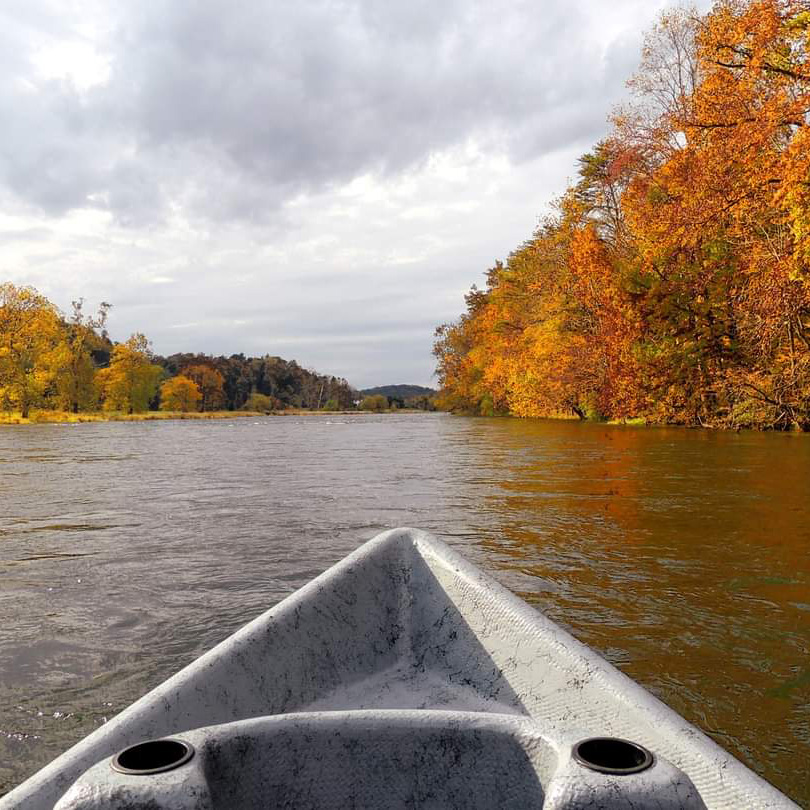 SOUTH HOLSTON RIVER FLY SHOP - Updated April 2024 - 608 Emmett Rd